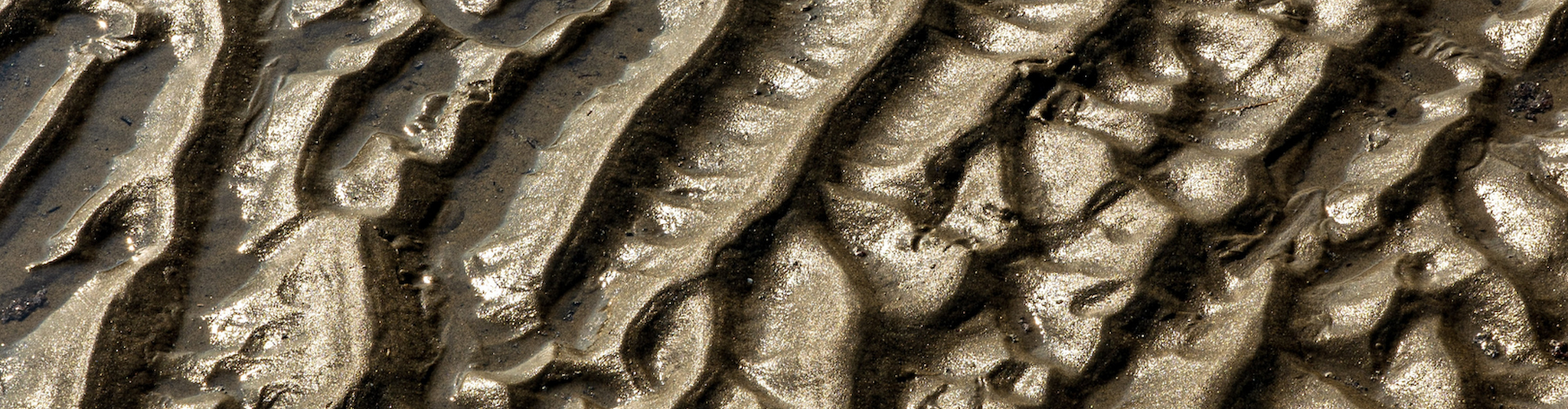 Design sans titre (6) Design sans titre (6)